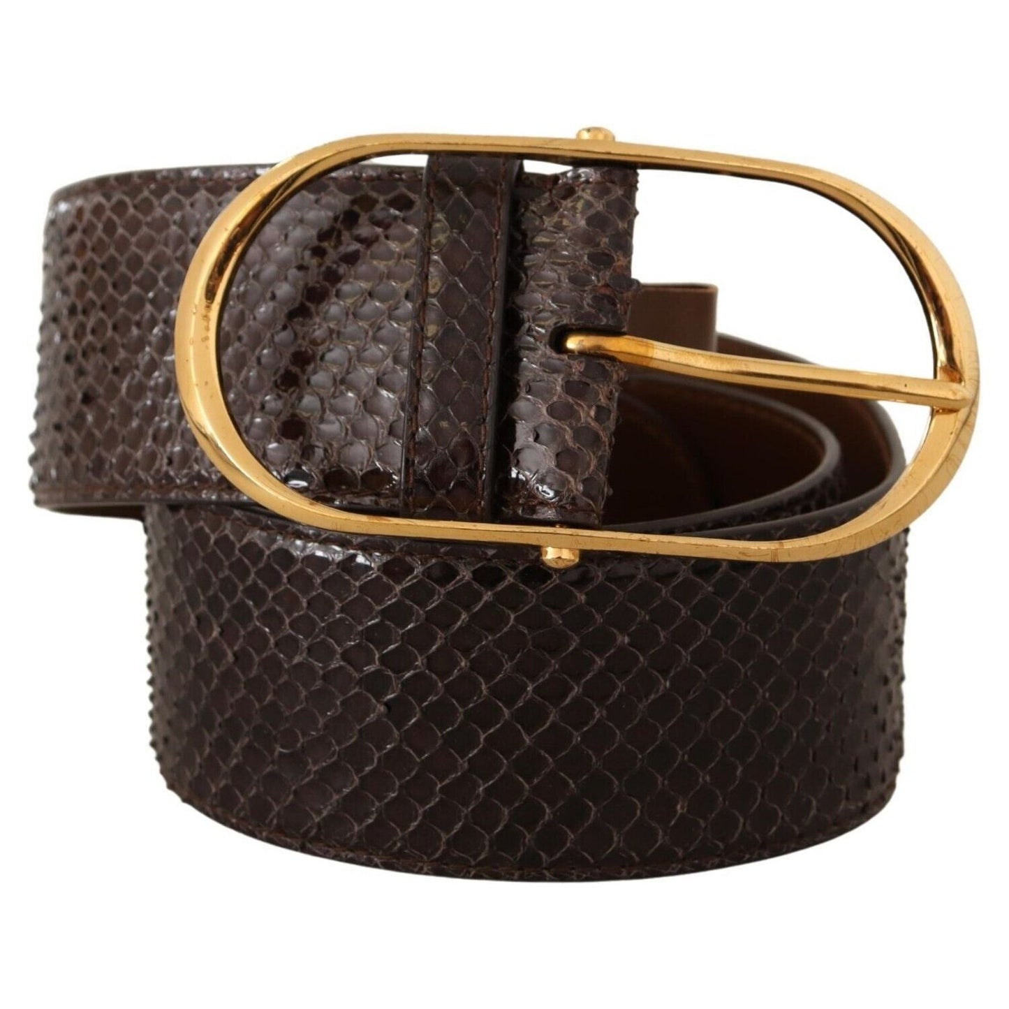 Dolce & Gabbana Elegant Python Leather Belt with Gold Buckle Dolce & Gabbana