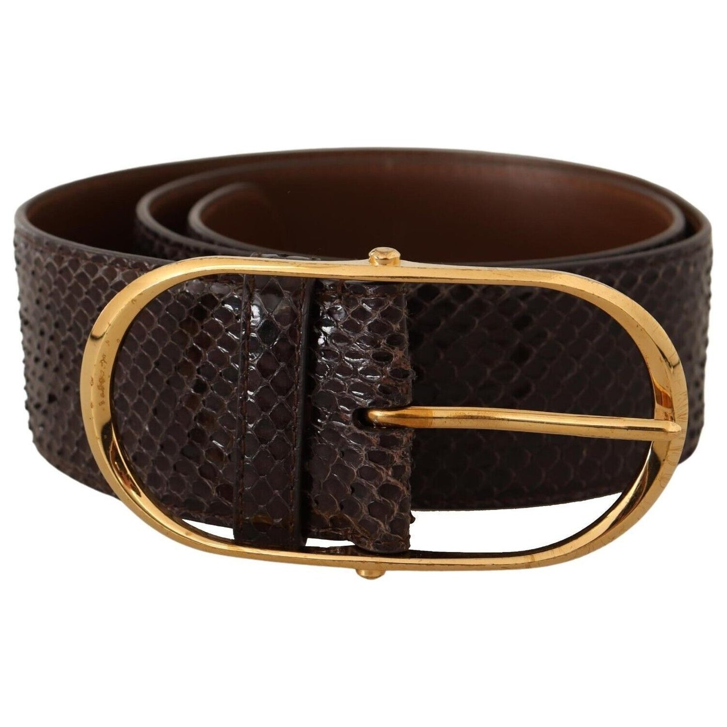 Dolce & Gabbana Elegant Python Leather Belt with Gold Buckle Dolce & Gabbana