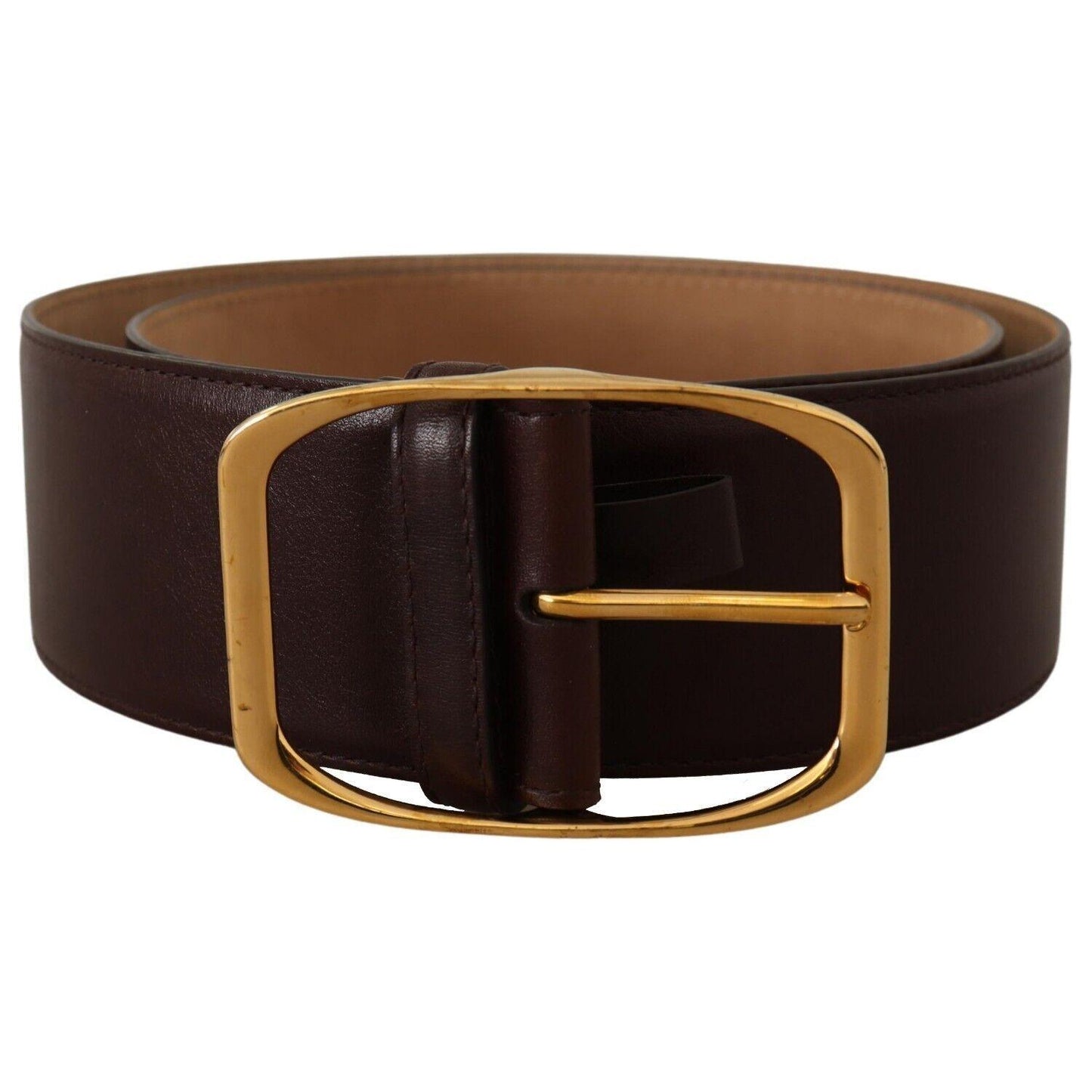 Dolce & Gabbana Elegant Dark Brown Leather Belt with Gold Buckle Dolce & Gabbana