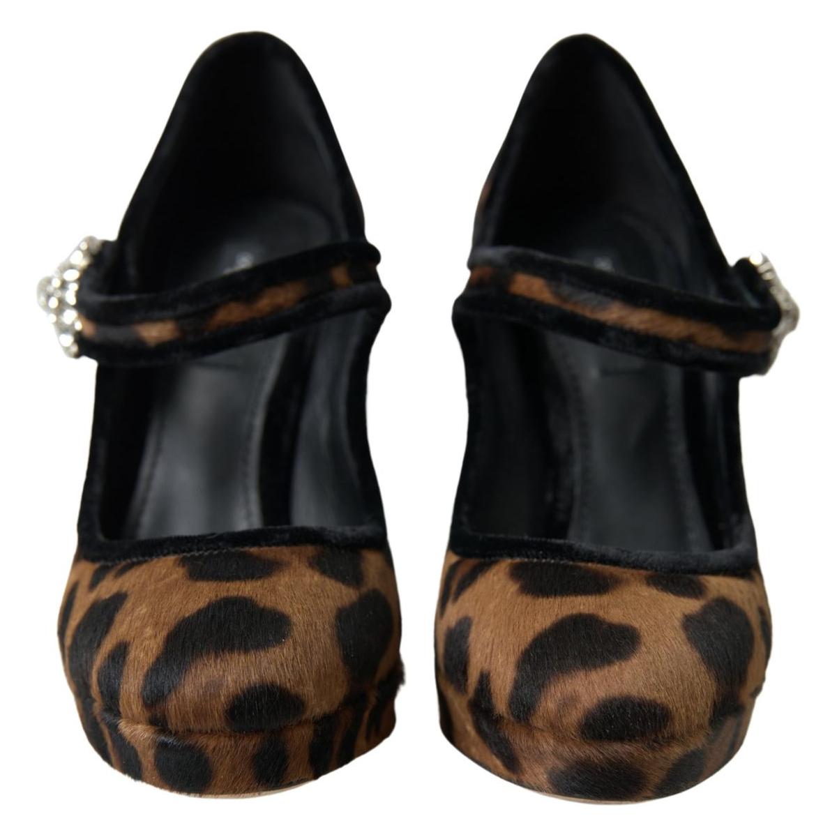 Dolce & Gabbana Elegant Leopard Heel Pumps for Chic Sophistication Dolce & Gabbana