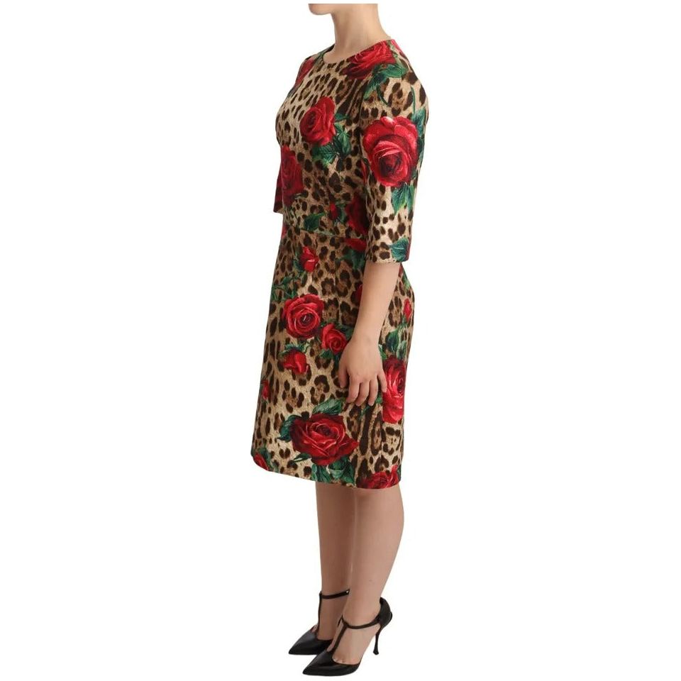 Dolce & Gabbana Brown Leopard Red Roses Cotton A-line Dress Dolce & Gabbana