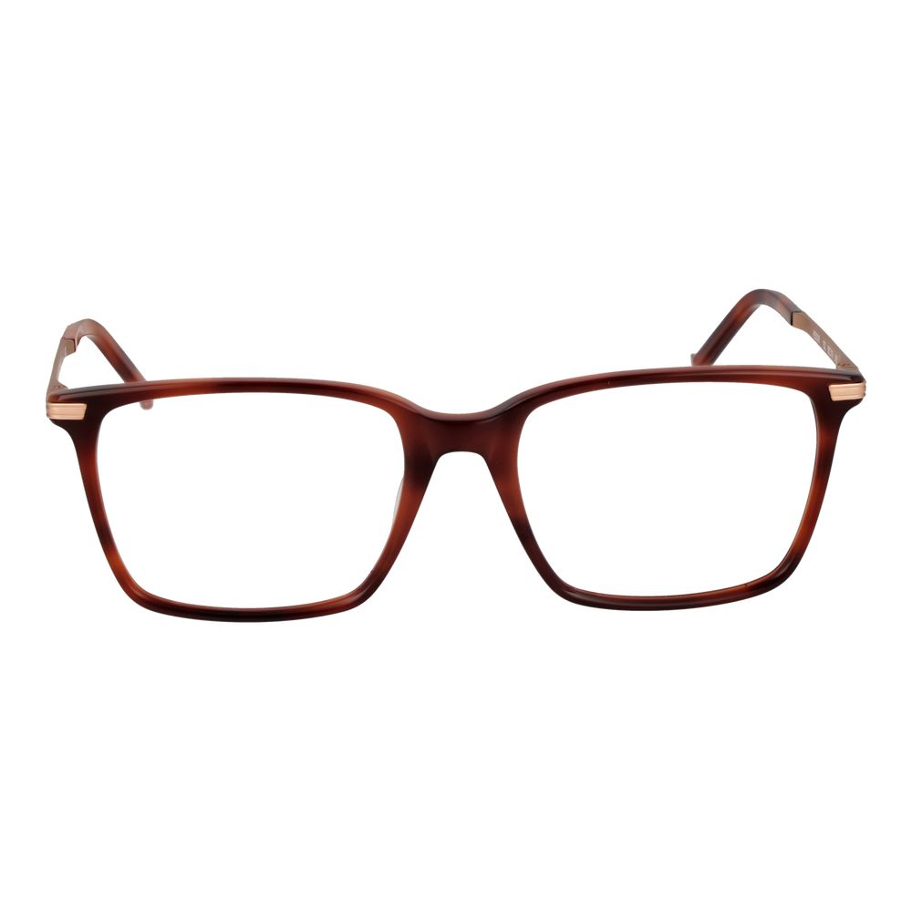Hackett Brown Plastic Glasses (Frames)